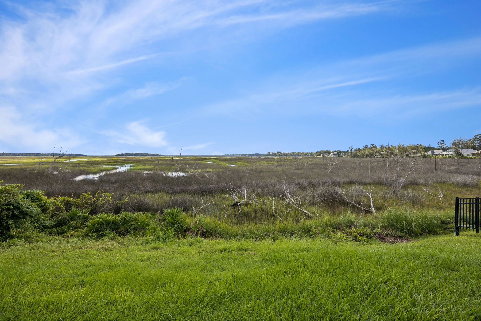 Marsh  View