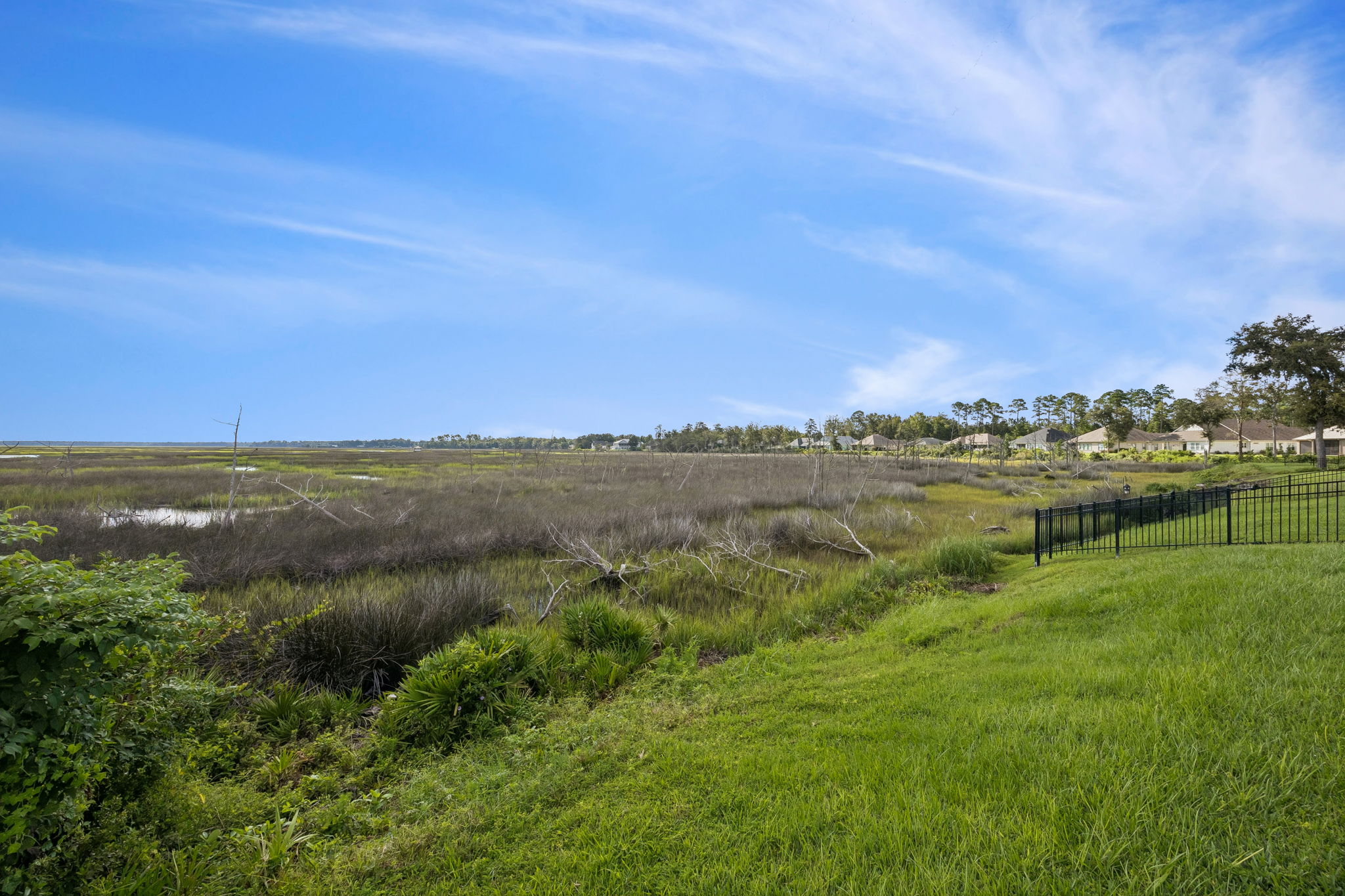 Marsh  View