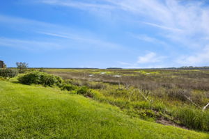 Marsh  View