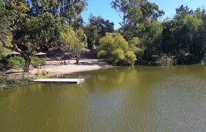  Photo 40
