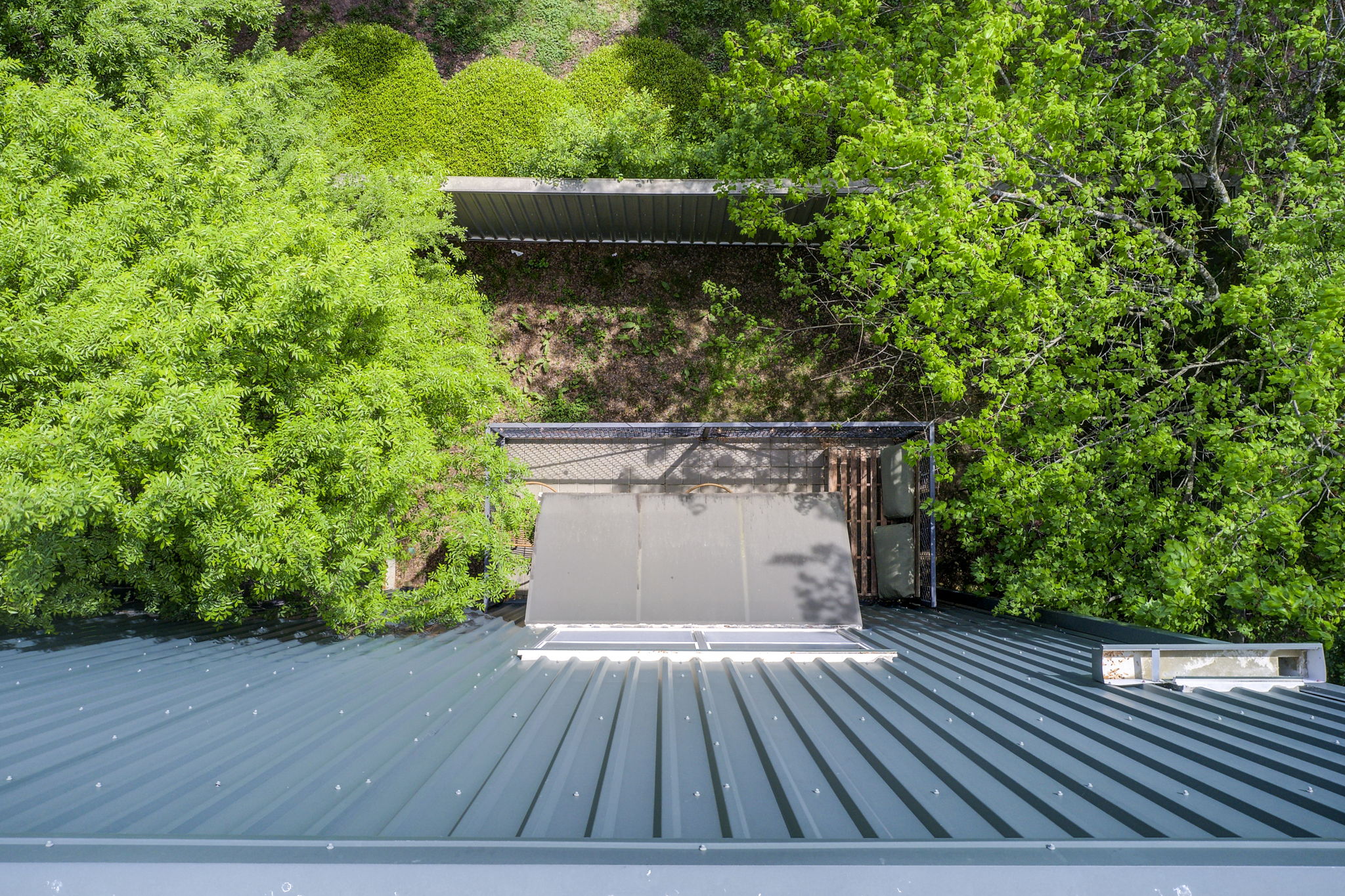 38 Aerial Exterior Front Partial w Balcony + Yard Bird's Eye View