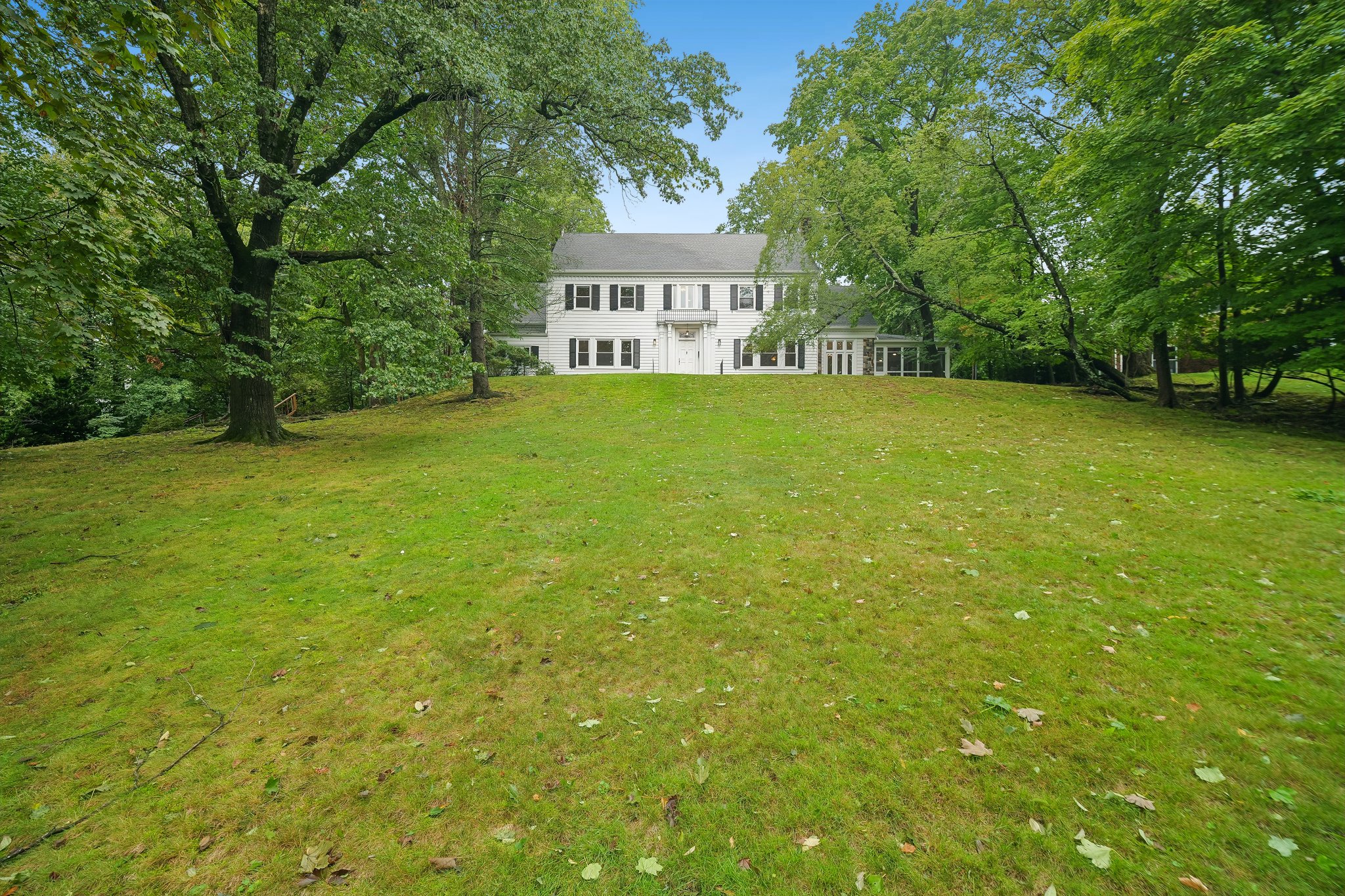 P1541951.jpg