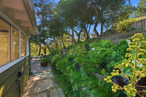 037_F8_241 Soledad Dr