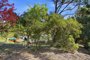 042_F8_241 Soledad Dr