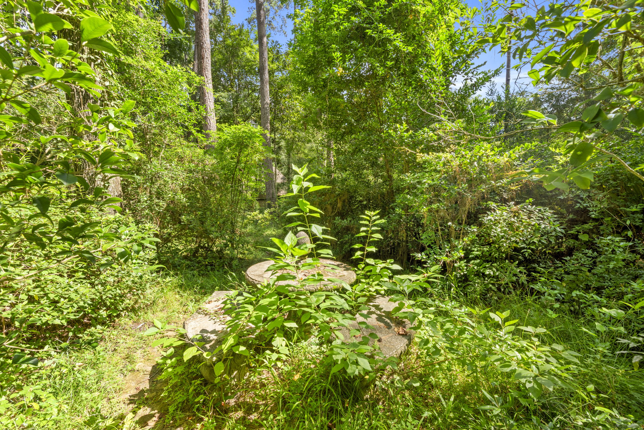  Photo 46
