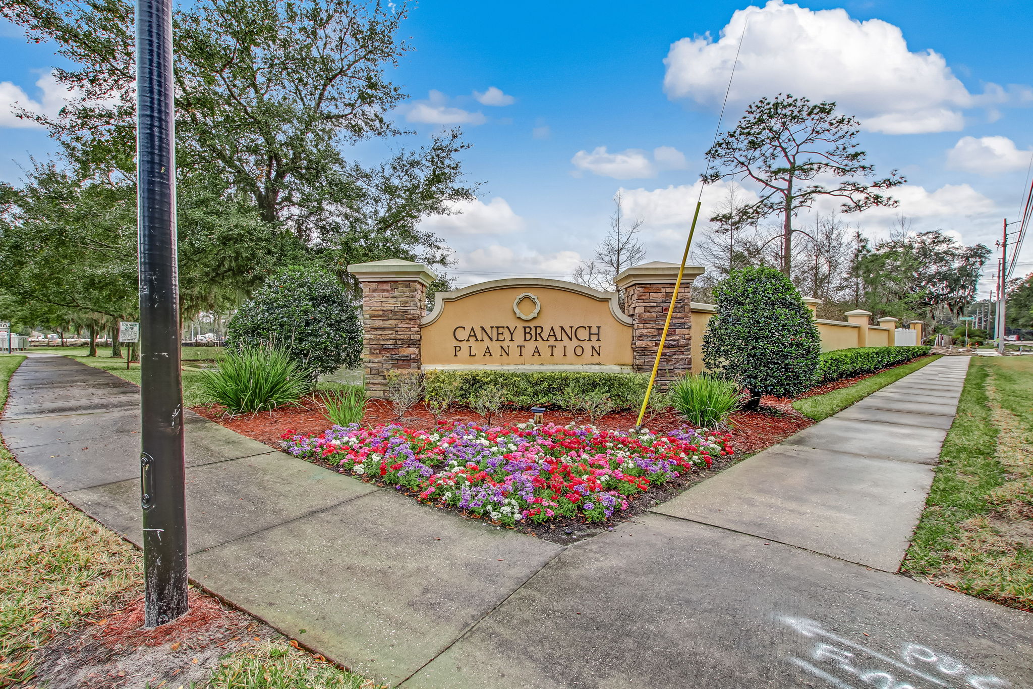 Caney Branch Plantation