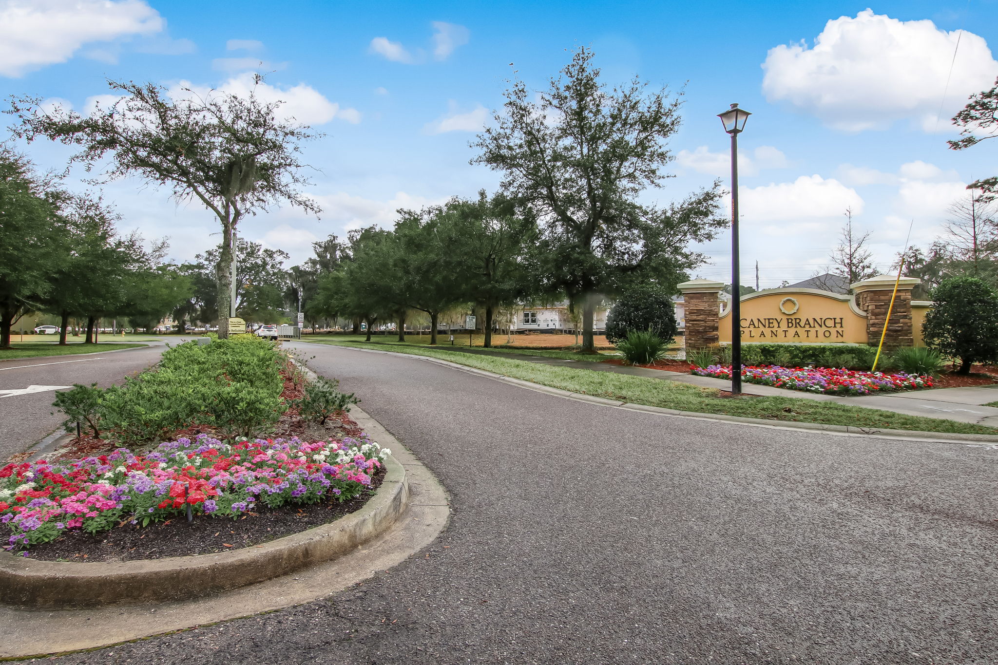 Caney Branch Plantation