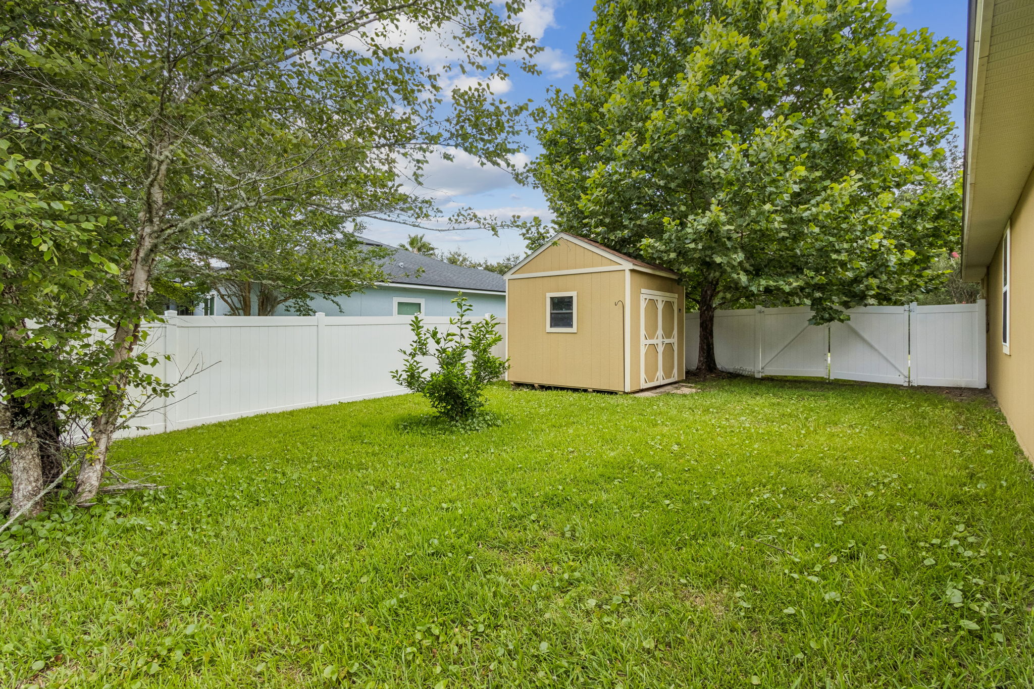 Backyard