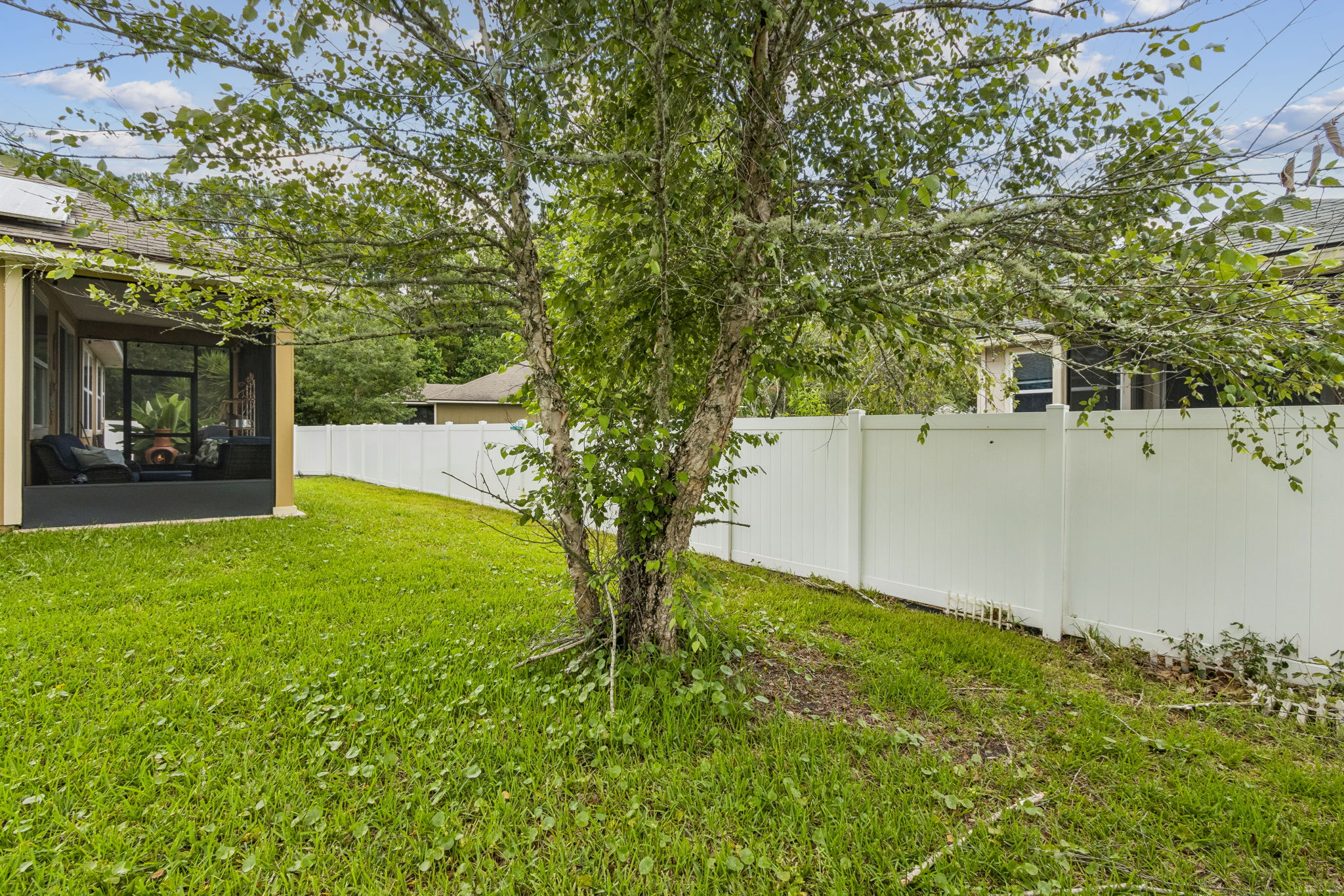 Backyard