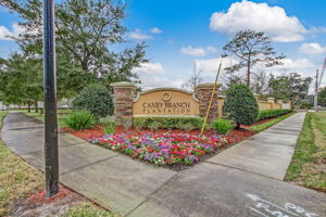 Caney Branch Plantation