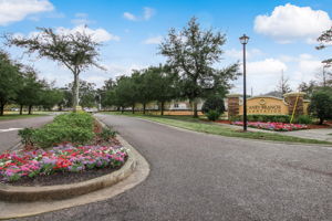 Caney Branch Plantation