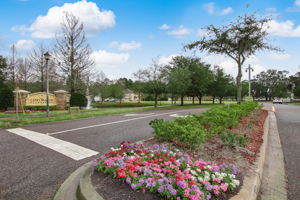 Caney Branch Plantation