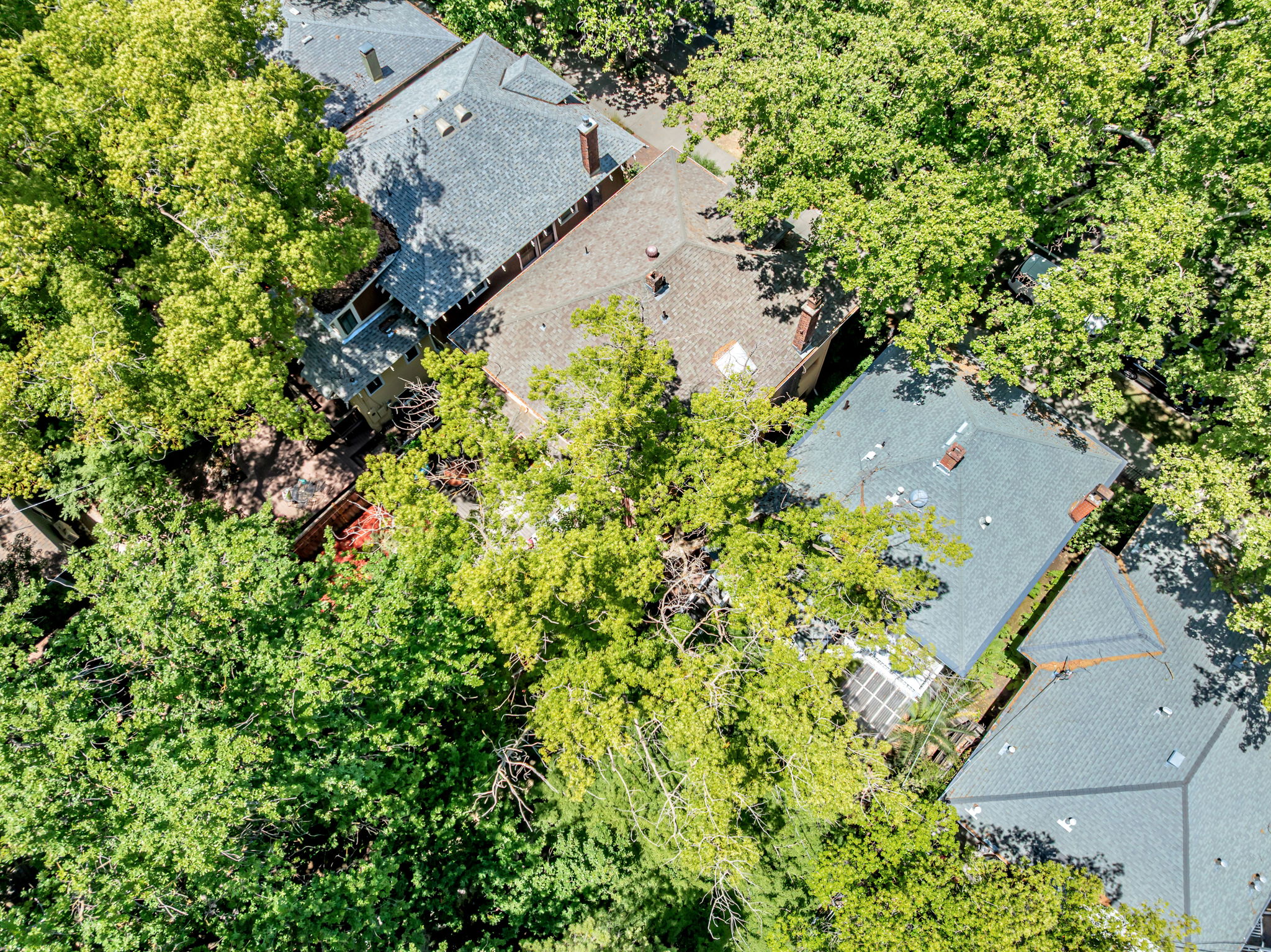 036_AERIAL_ 2414 H St_