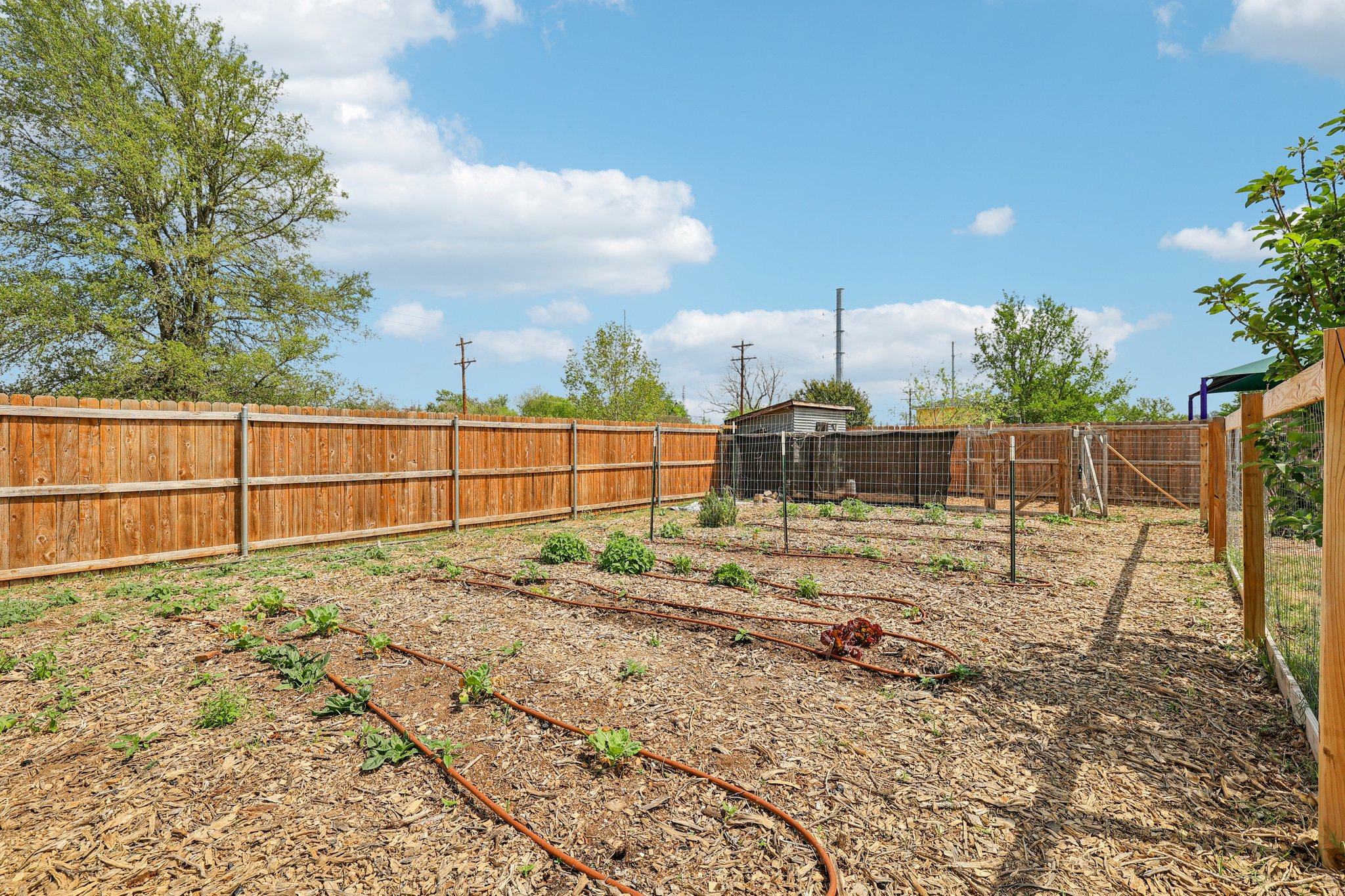 Wilson St-S2603-056.jpg