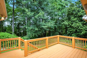 Back Deck
