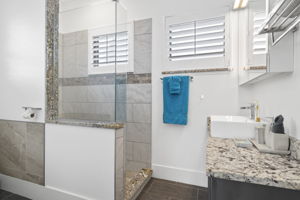 Guest Bathroom 1 (2)