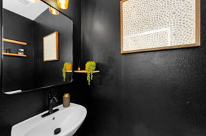 Lower Level Bathroom 2a