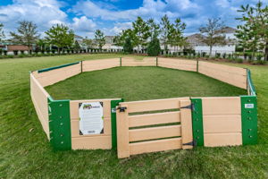 19-Asutria Gaga Ball