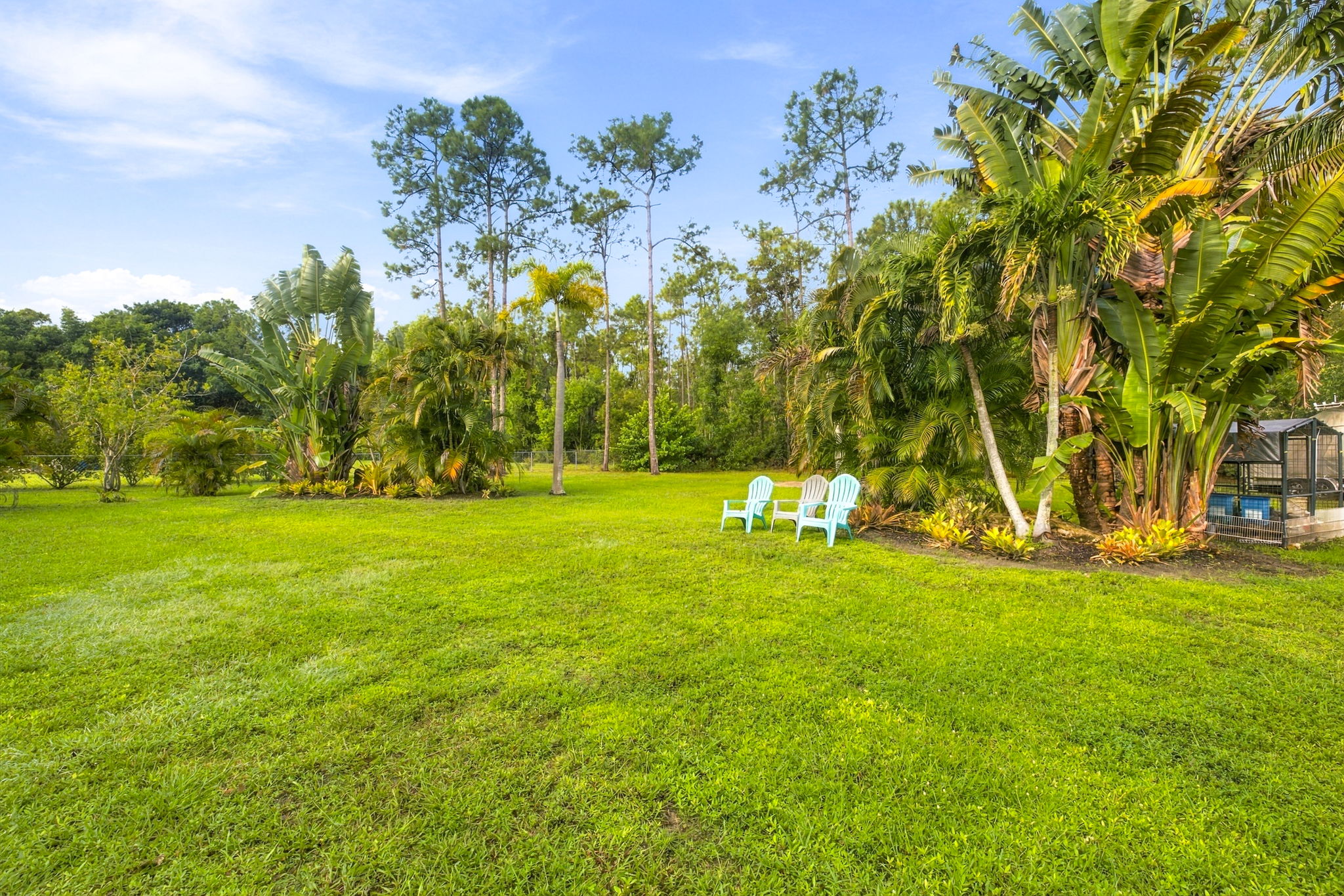 Backyard 2 of 2