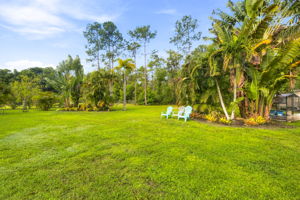 Backyard 2 of 2