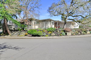 Rexious overhauled the landscaping