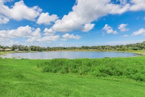 2421 Lake McDade Ct, Apopka, FL 32703, USA Photo 27