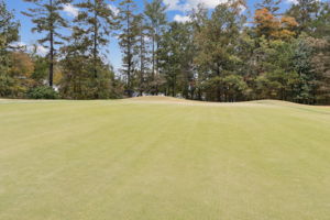 Golf Course View