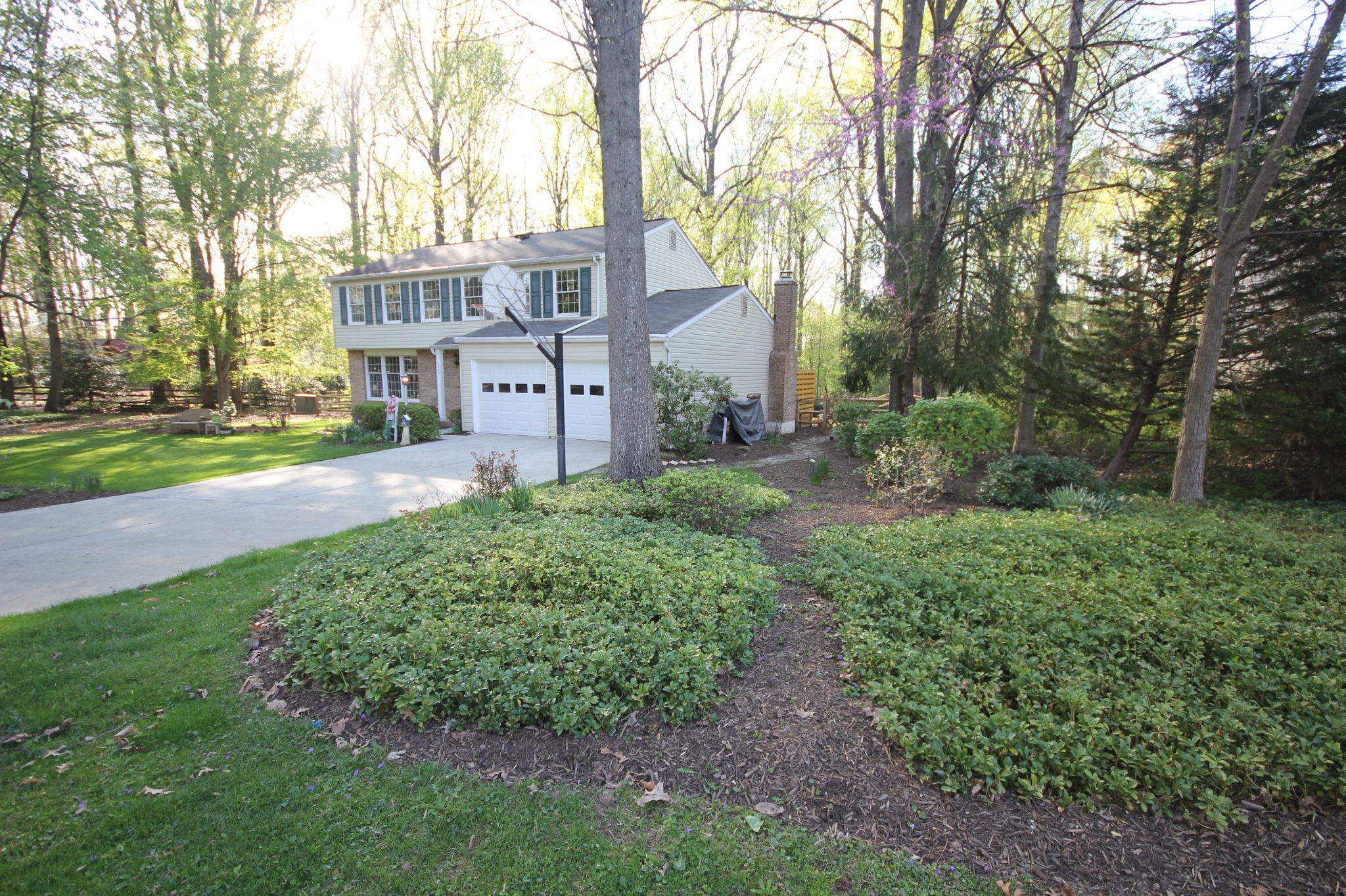Low maintenance yard plantings