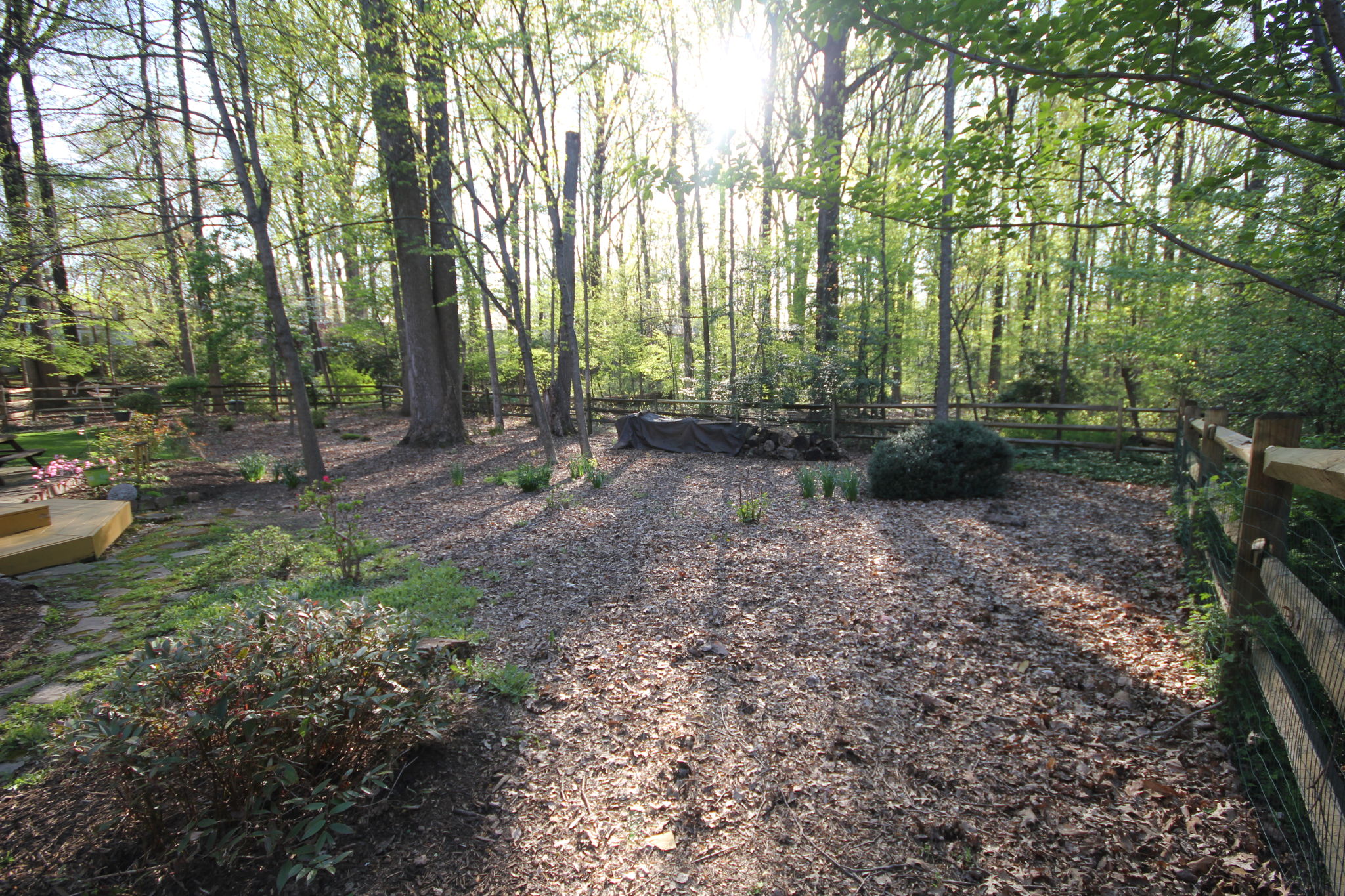 Huge yard with unlimited potential to grow and play