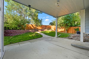  Photo 47