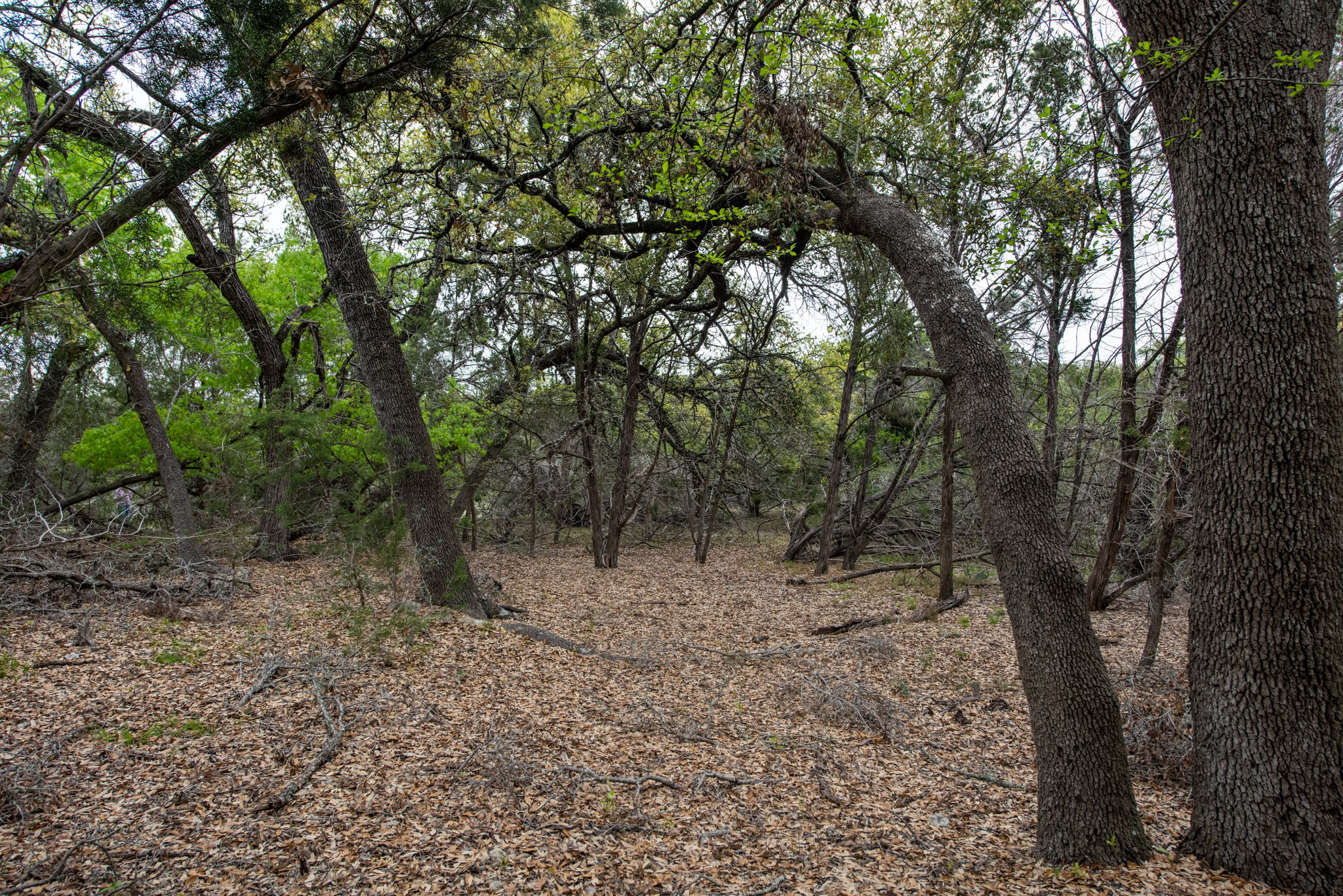  Photo 73