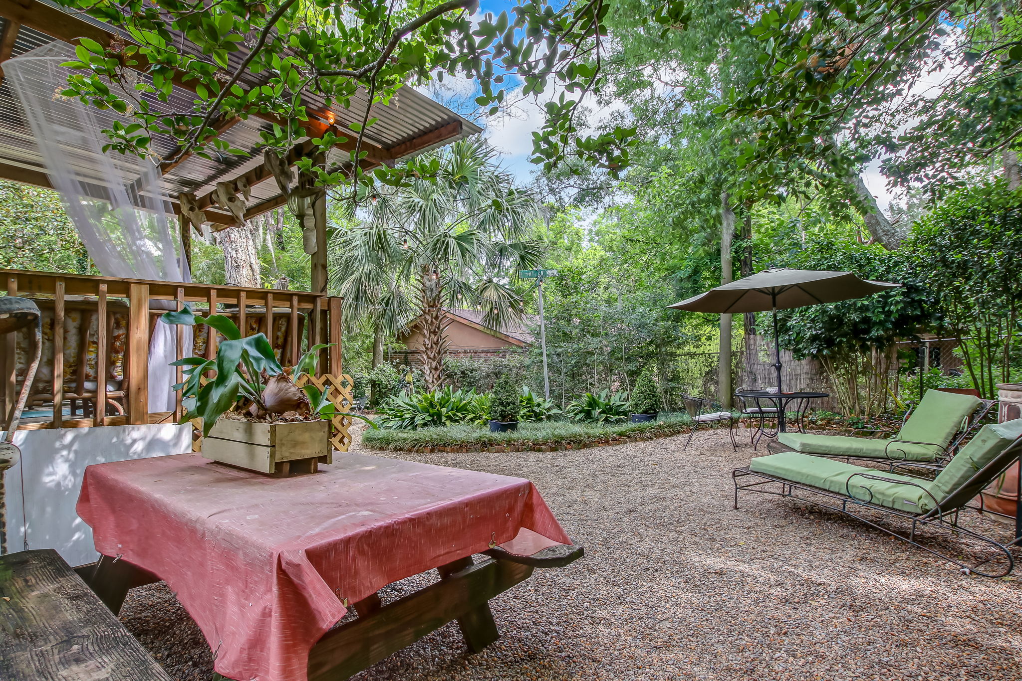 Back Yard