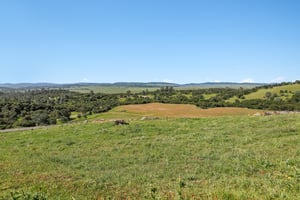 Hunt Rd-S0304-050.jpg