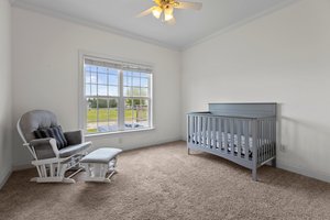 2428 Plumosa Dr, Grimesland, NC 27837, USA Photo 37