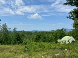  Photo 44