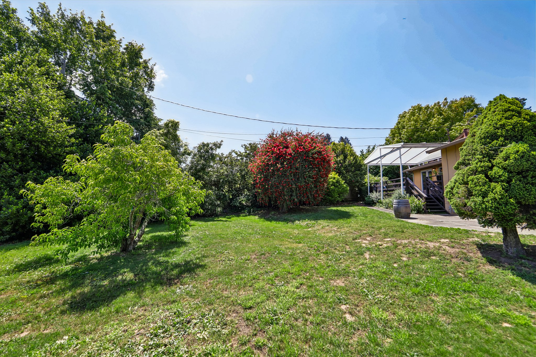 Princeton Ct-S2904-047.jpg