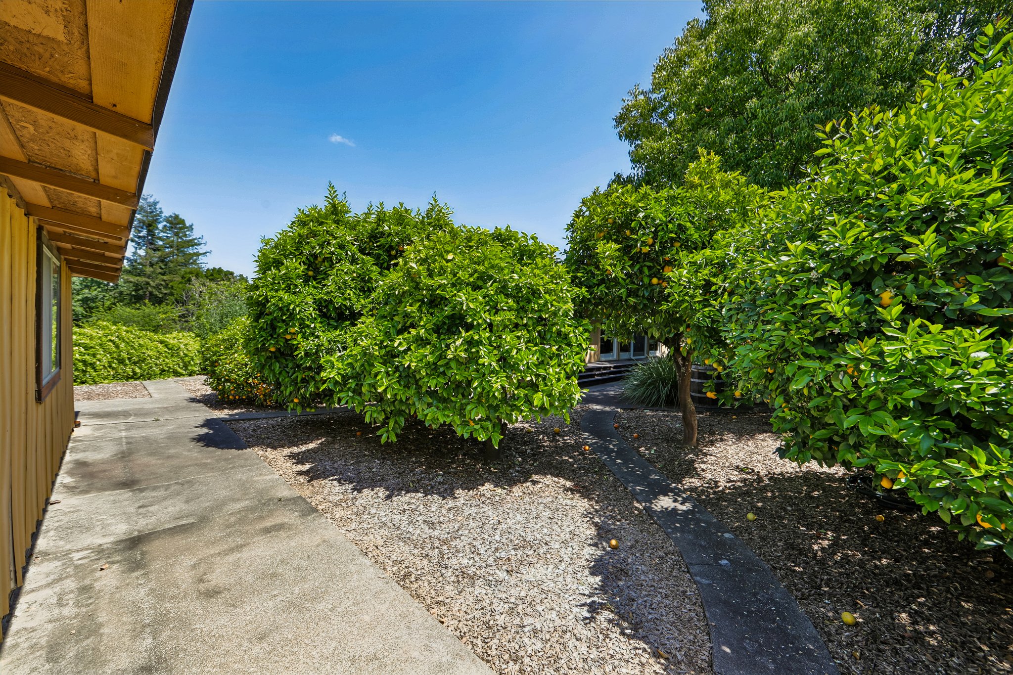 Princeton Ct-S2904-053.jpg