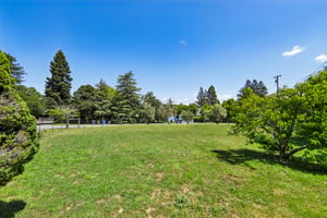 Princeton Ct-S2904-046.jpg