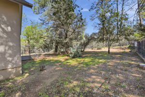 Side Yard 3