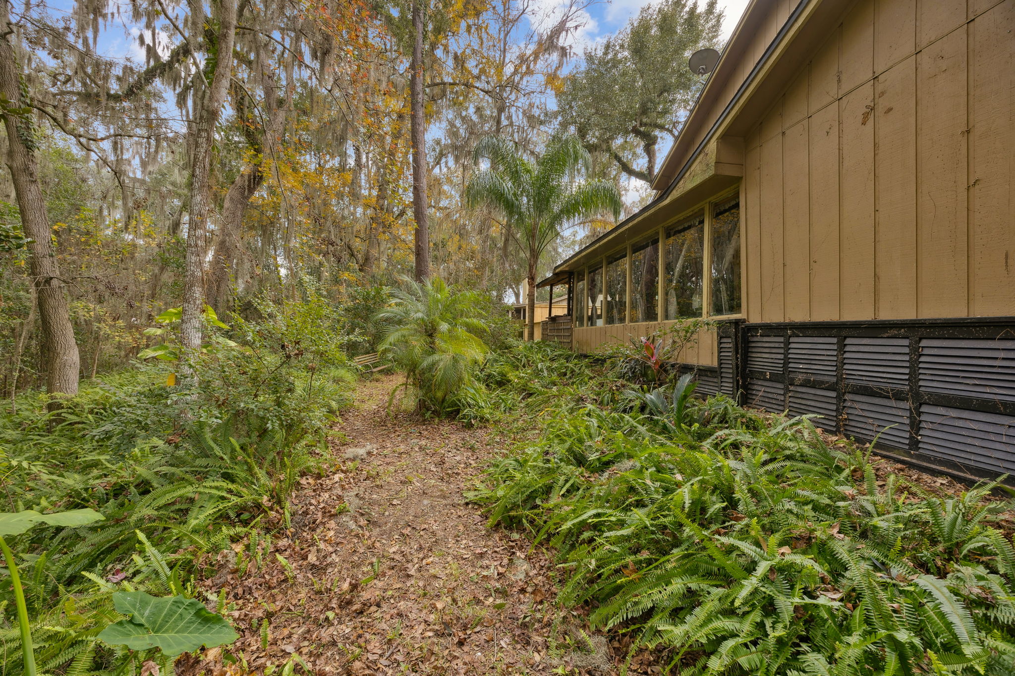Side Yard