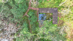 The Springs