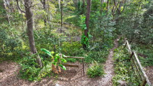 The Springs