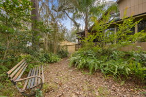 Side Yard