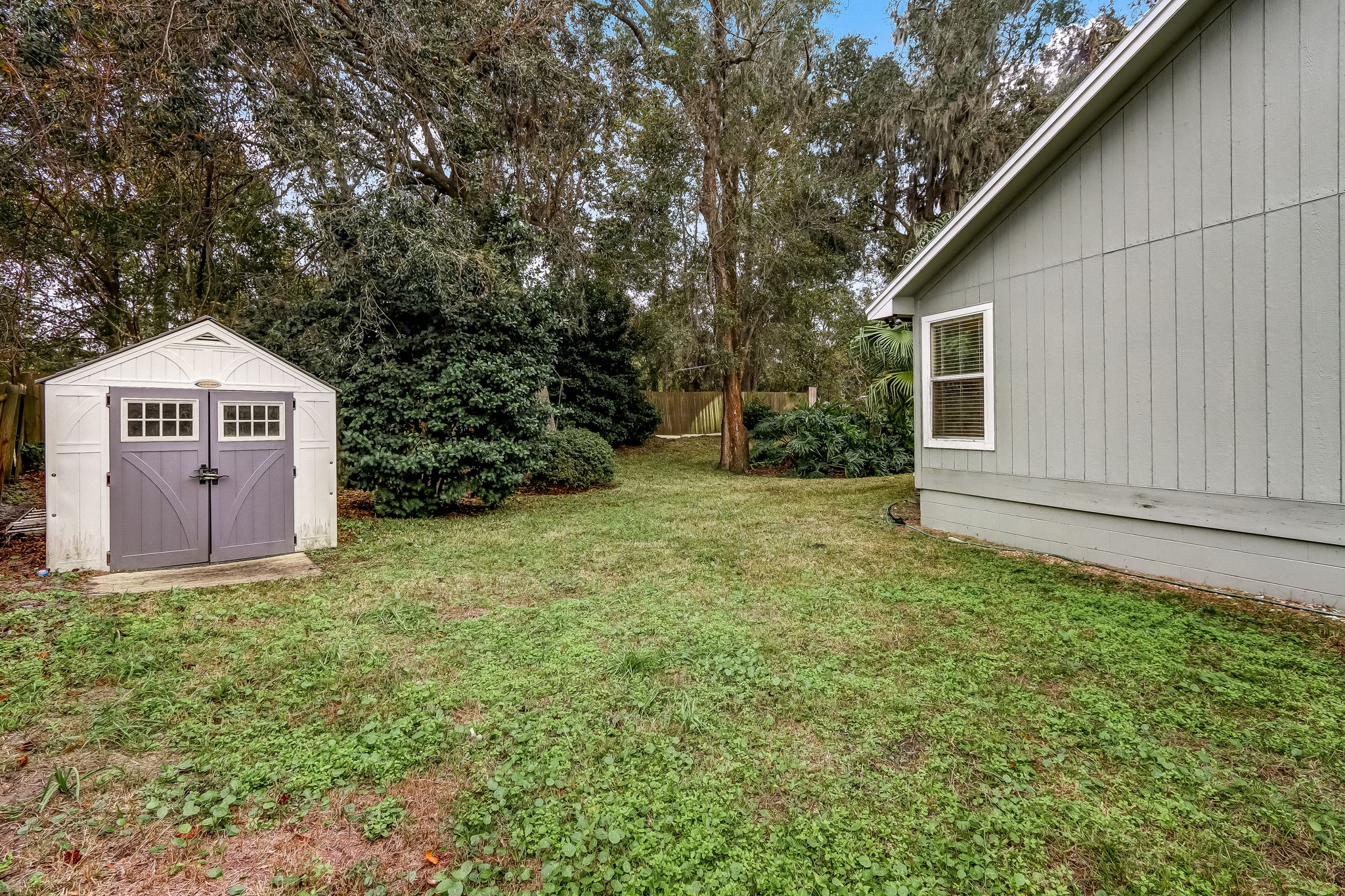 Back Yard