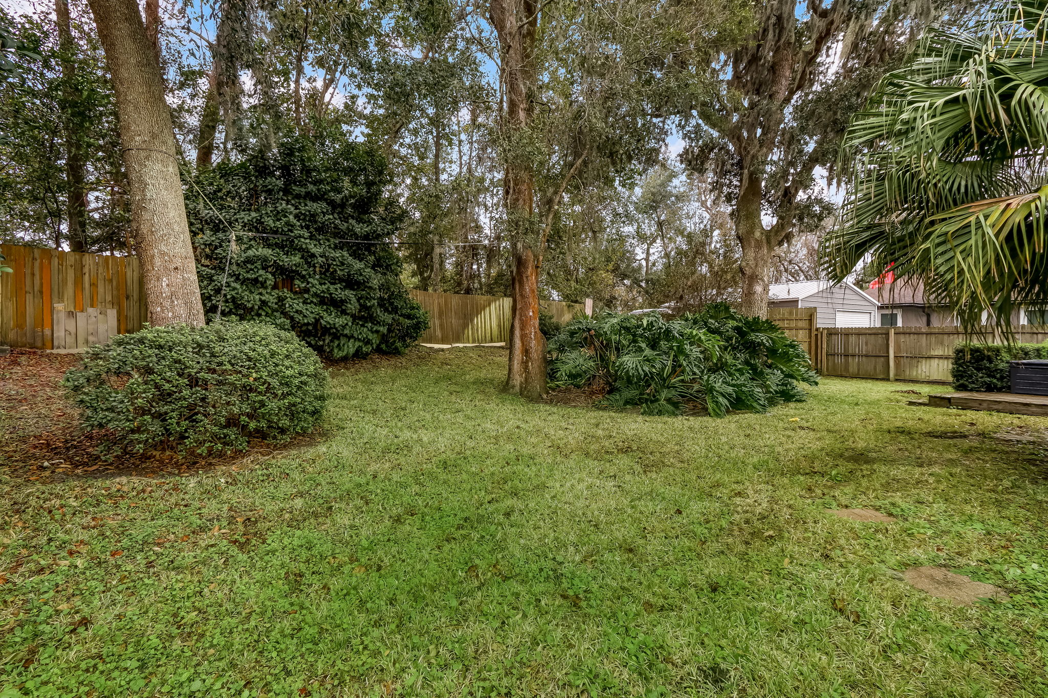 Back Yard