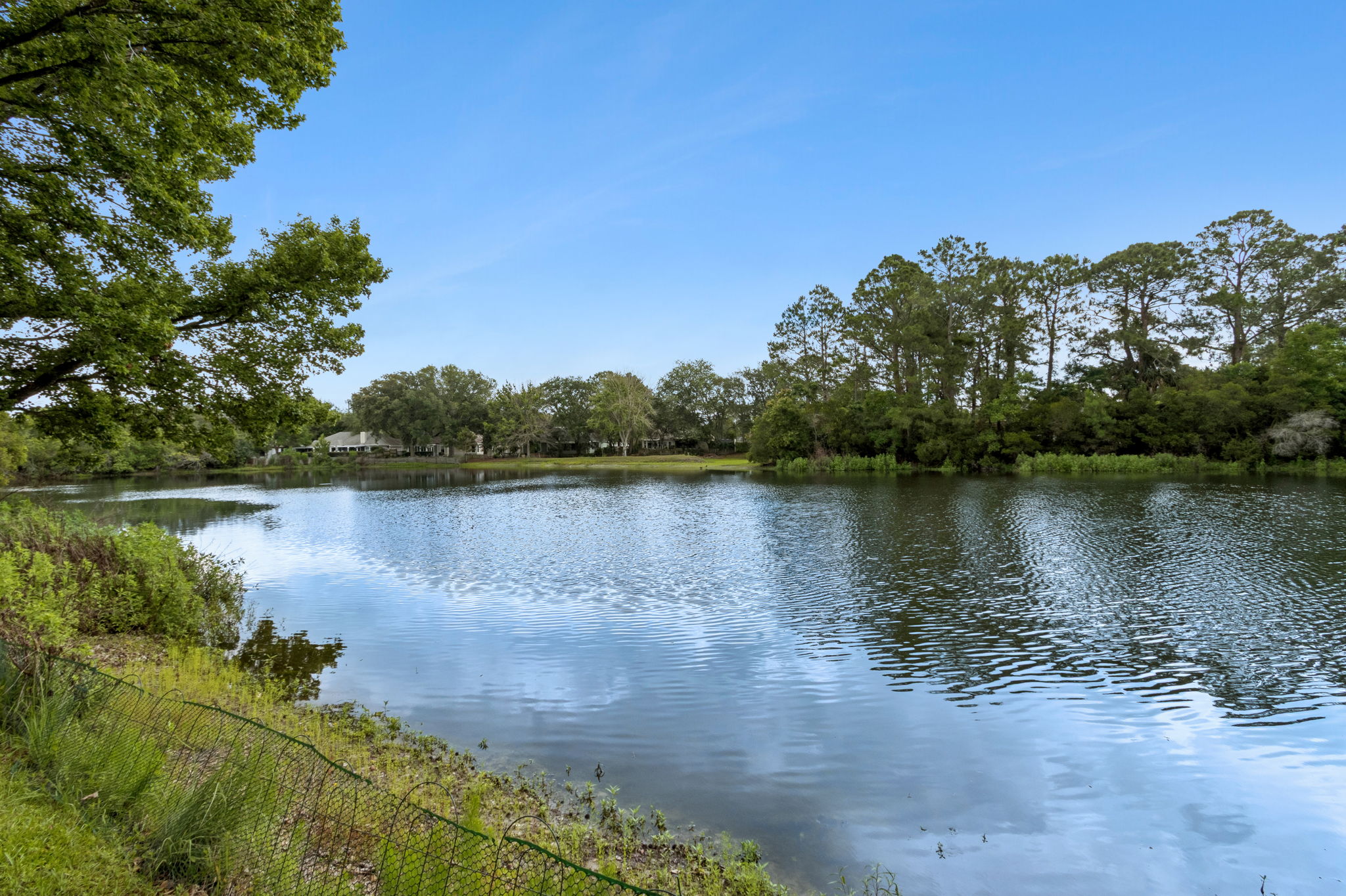 Backyard Water View