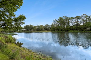 Backyard Water View