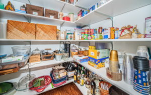 Kitchen Pantry1a