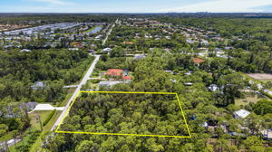 Aerial 4 -Lot Lines