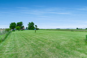  Photo 50